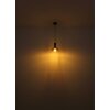 Globo CLASSIS Pendant Light black, 1-light source