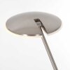 Steinhauer Daphne UpLighter LED brushed steel, 2-light sources