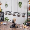 Koyoto Pendant Light glass 15 cm Smoke-coloured, 5-light sources