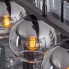 Koyoto Pendant Light glass 15 cm Smoke-coloured, 5-light sources