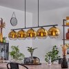 Koyoto Pendant Light glass 20 cm gold, clear, 5-light sources