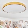 Broglen Ceiling Light LED brass, 1-light source
