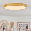 Broglen Ceiling Light LED brass, 1-light source