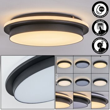 Caucete outdoor ceiling light LED black, 1-light source