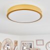 Broglen Ceiling Light LED brass, 1-light source