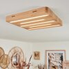 Cajas Ceiling Light LED Ecru, 5-light sources