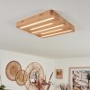 Cajas Ceiling Light LED Ecru, 5-light sources