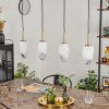 Bocayuva Pendant Light brass, 4-light sources