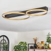 Cajean Ceiling Light LED black, 2-light sources