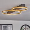 Cajean Ceiling Light LED black, 2-light sources