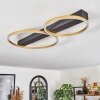 Cajean Ceiling Light LED black, 2-light sources