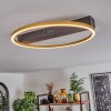 Cajean Ceiling Light LED black, 1-light source