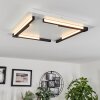 Leroux Ceiling Light LED white, 1-light source