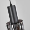 Sambour Pendant Light black, 4-light sources
