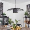 Tanakou Pendant Light black, 1-light source