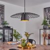 Tanakou Pendant Light black, 1-light source