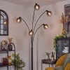Nikkala Floor Lamp black, 5-light sources