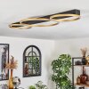 Cajean Ceiling Light LED black, 3-light sources