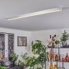 Dubuisson Ceiling Light LED aluminium, 1-light source, Remote control