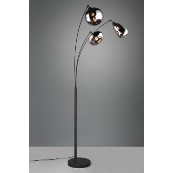 Trio Lumina Floor Lamp black, 3-light sources
