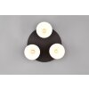 Trio AGUDO Ceiling Light black, 3-light sources