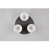 Trio AGUDO Ceiling Light black, 3-light sources