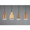 Trio AGUDO Pendant Light black, 4-light sources