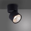 Paul Neuhaus PURE-NOLA Wall Light LED black, 1-light source