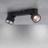 Paul Neuhaus PURE-NOLA Ceiling Light LED black, 2-light sources