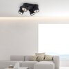 Paul Neuhaus PURE-NOLA Ceiling Light LED black, 4-light sources