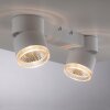 Paul Neuhaus PURE-NOLA Ceiling Light LED white, 2-light sources