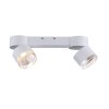 Paul Neuhaus PURE-NOLA Ceiling Light LED white, 2-light sources