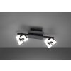 Fischer & Honsel Ray Ceiling Light LED black, 2-light sources