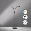 Fischer & Honsel Tallri Floor Lamp LED black, 2-light sources