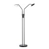 Fischer & Honsel Tallri Floor Lamp LED black, 2-light sources