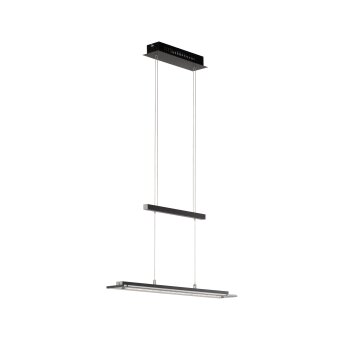 Fischer & Honsel Tenso TW Pendant Light LED black, 1-light source