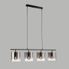 Fischer & Honsel Samu Pendant Light black, 4-light sources