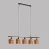Fischer & Honsel Hyazinthe Pendant Light black, 5-light sources