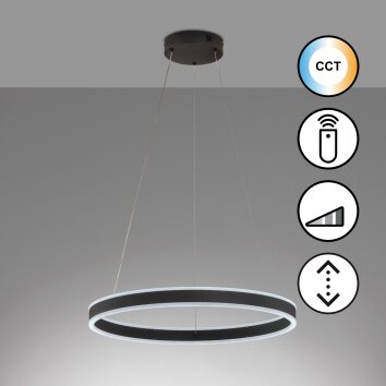 Fischer & Honsel Sirko Pendant Light LED black, 1-light source, Remote control