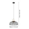 Eglo ROUNDHAM Pendant Light brass, black, 1-light source