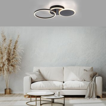 Leuchten-Direkt SEVENT Ceiling Light LED black, 1-light source