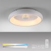 Leuchten-Direkt VERTIGO Ceiling Light LED white, 1-light source, Remote control
