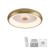 Leuchten-Direkt VERTIGO Ceiling Light LED gold, 1-light source, Remote control