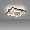 Paul Neuhaus MAILAK Ceiling Light LED black, white, 2-light sources
