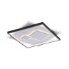 Paul Neuhaus MAILAK Ceiling Light LED black, white, 2-light sources