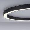 Paul Neuhaus PURE-LINES Ceiling Light LED anthracite, 1-light source, Remote control