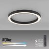 Paul Neuhaus PURE-LINES Ceiling Light LED anthracite, 1-light source, Remote control