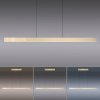 Paul Neuhaus PURE-MOTO-RISE Pendant Light LED gold, 3-light sources, Remote control