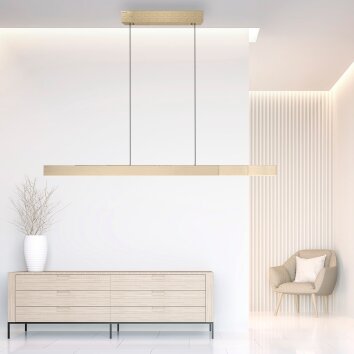 Paul Neuhaus PURE-MOTO-RISE Pendant Light LED gold, 3-light sources, Remote control