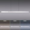 Paul Neuhaus PURE-MOTO-RISE Pendant Light LED silver, 3-light sources, Remote control